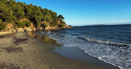 L'ARGENTIERE - T2 cabine pour 6 personnes avec vue parc
