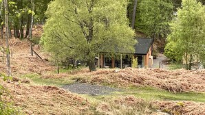 A rustic cabin with a wooden exterior, surrounded by a forested area with leafless trees and a pile of firewood.