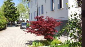 Eine Wohnstraße mit befestigter Auffahrt, parkenden Autos und einem Baum mit roten Blättern.