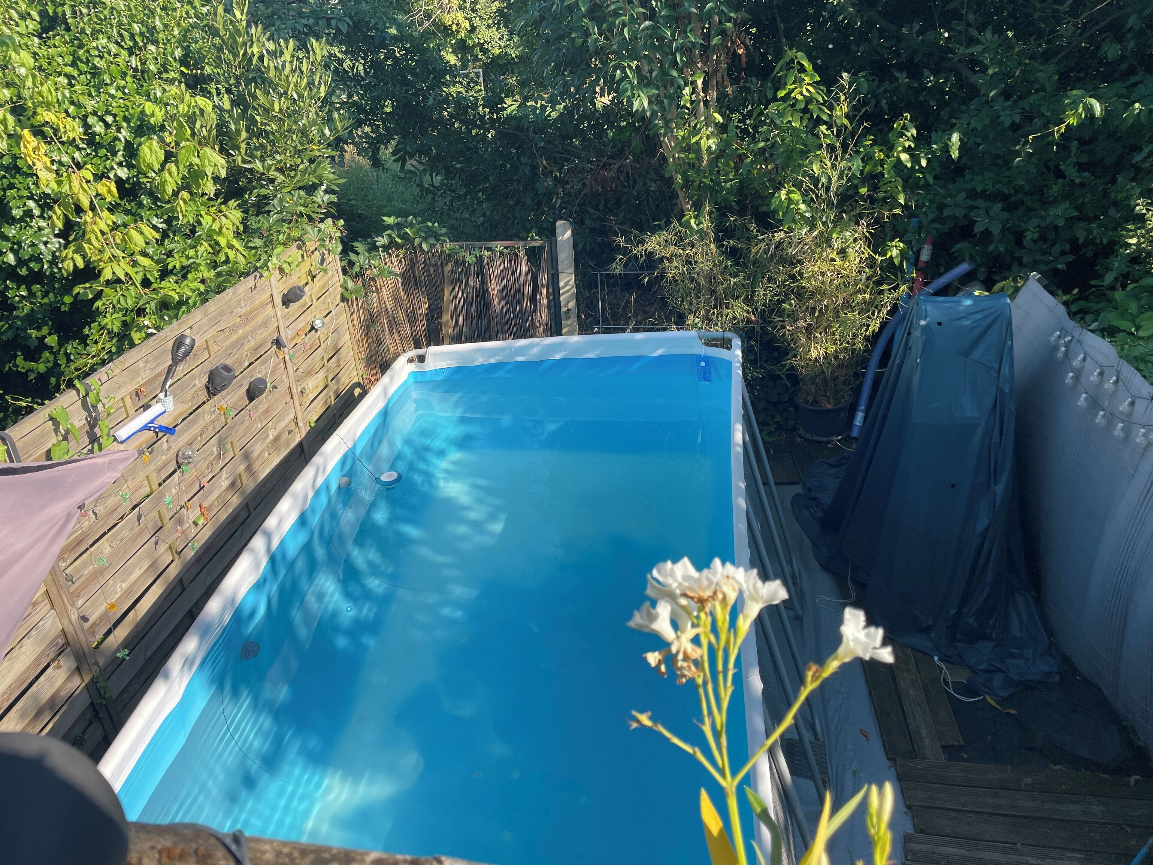 Une piscine rectangulaire entourée d’une terrasse en bois, située dans un jardin à la végétation luxuriante.