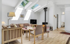 Smart-TV, Kamin