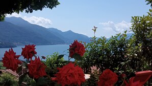 A garden with red roses and a view of a lake and mountains. - Las tres tajanas Apartment (Gravedona Ed Uniti)