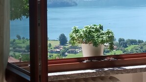 A view from a window overlooking a lake with mountains in the background and a potted plant on the windowsill. - Las tres tajanas Apartment (Gravedona Ed Uniti)