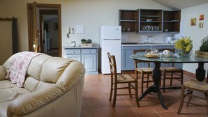 En kompakt opholdsstue med spiseplads, tekøkken og sofa.