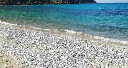 Guesthouse Thomas & Cato