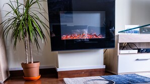 En stue med et fladskærms-tv, en potteplante, en blå og hvid måtte og trægulv.