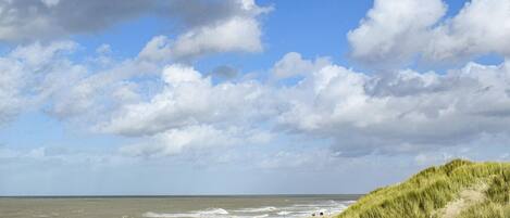 Beach nearby, fishing