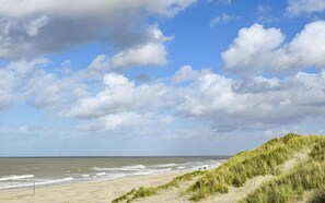 Ein Strand mit Dünen und dem Meer.