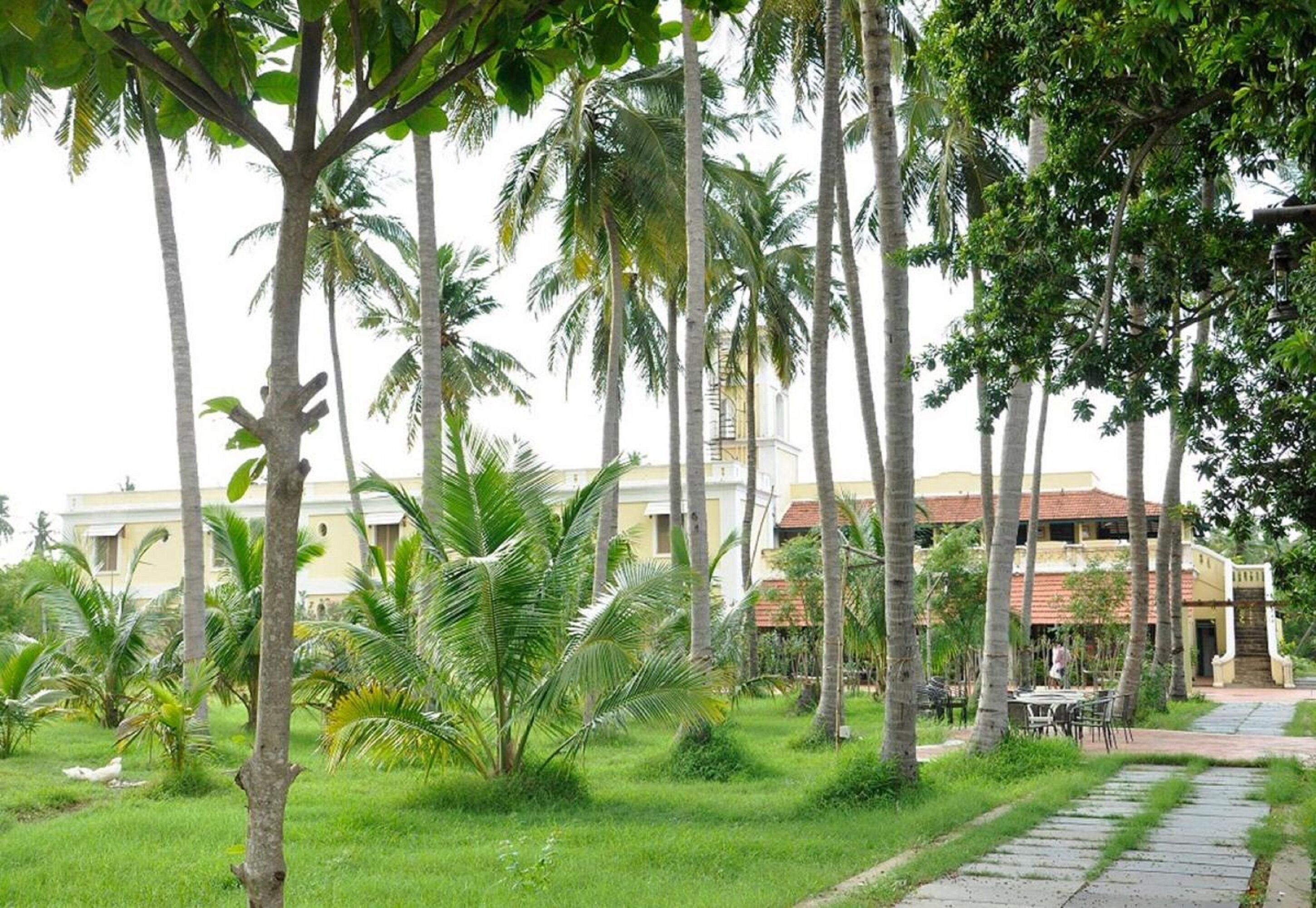 Um jardim exuberante com palmeiras e um caminho que leva a um edifício com telhado em cerâmica.