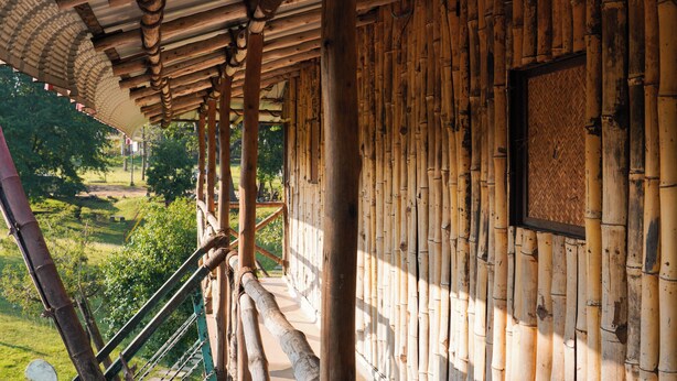 Rumah Pohon