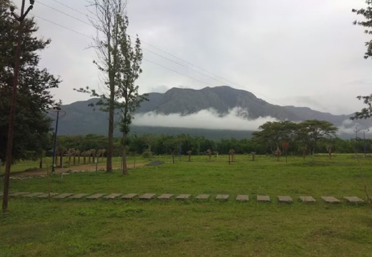 ロイヤル ツインルーム | WiFi (無料)、ベッドシーツ