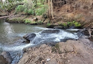 Un arroyo serpentea sobre rocas en un área boscosa.