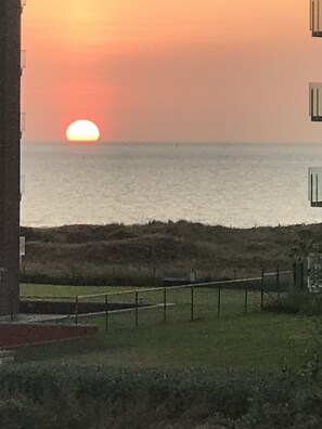 المنطقة المحيطة بالمنشأة