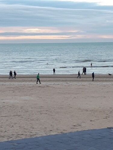 Between dunes and sea