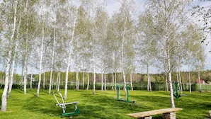 En park med björkträd, grön träningsutrustning och en träbänk.