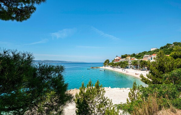 بالقرب من الشاطئ