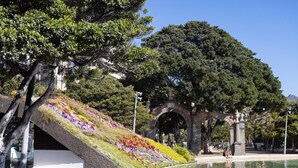 A park with a curved water feature, a sloped flower bed, and an arched stone structure. - CHAYOFA SUITES - STUDIO (Santa Cruz de Tenerife)