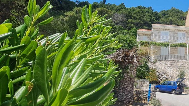 Un edificio con fachada de piedra, un coche azul estacionado al frente y vegetación verde exuberante en primer plano.