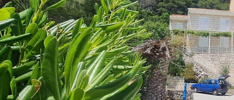 Apartment (Two Bedroom Apartment) | Exterior