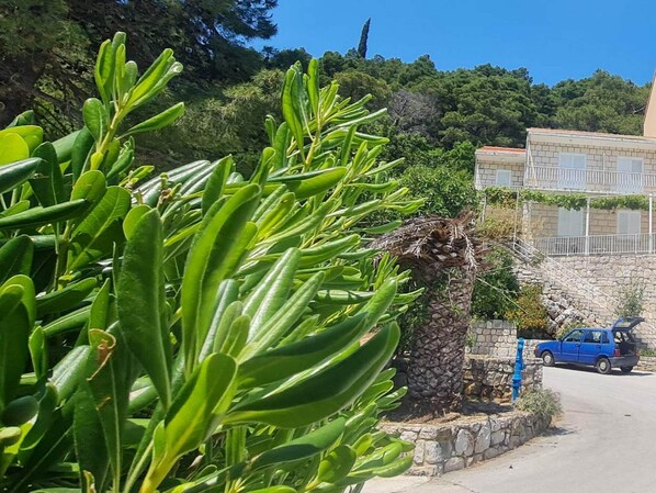 Apartment (Two Bedroom Apartment) | Exterior - Apartments Maruška (Mljet)