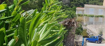 아파트먼트 마루스카