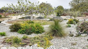 A landscaped garden with various plants and a stone wall. - Trulli in Monopolitan countryside  (Puglia)