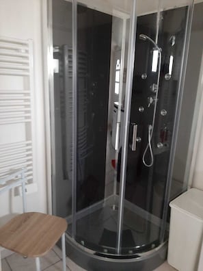 Shower, hair dryer, towels, toilet paper