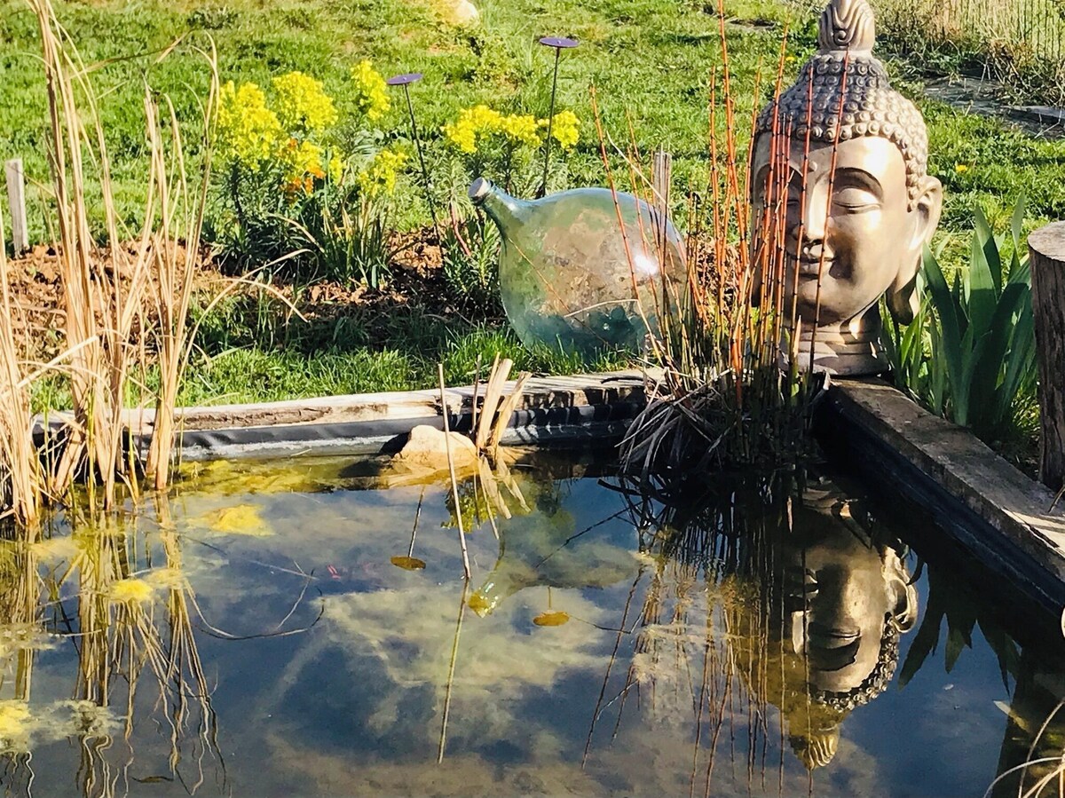 Image de profil de l’hôte