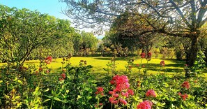 Property grounds - Escale Cosy et Bucolique à Proximité de Saintes (Préguillac)