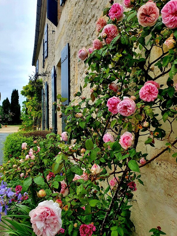 Exterior detail - Escale Cosy et Bucolique à Proximité de Saintes (Préguillac)