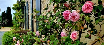 Escale Cosy et Bucolique à Proximité de Saintes