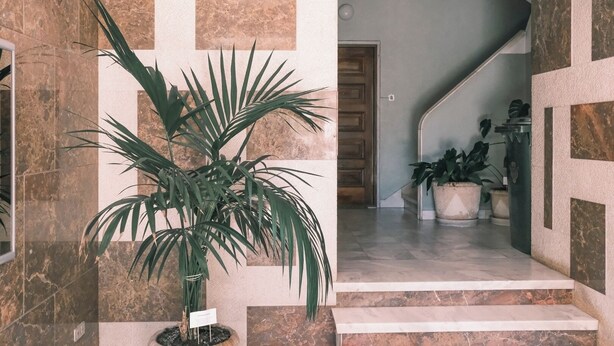 Ein modernes Interieur mit Treppe, Marmorwänden und Topfpflanzen.
