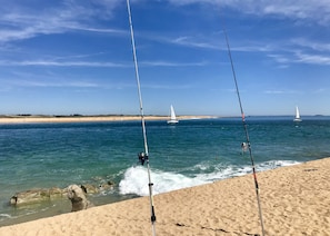 Plage à proximité