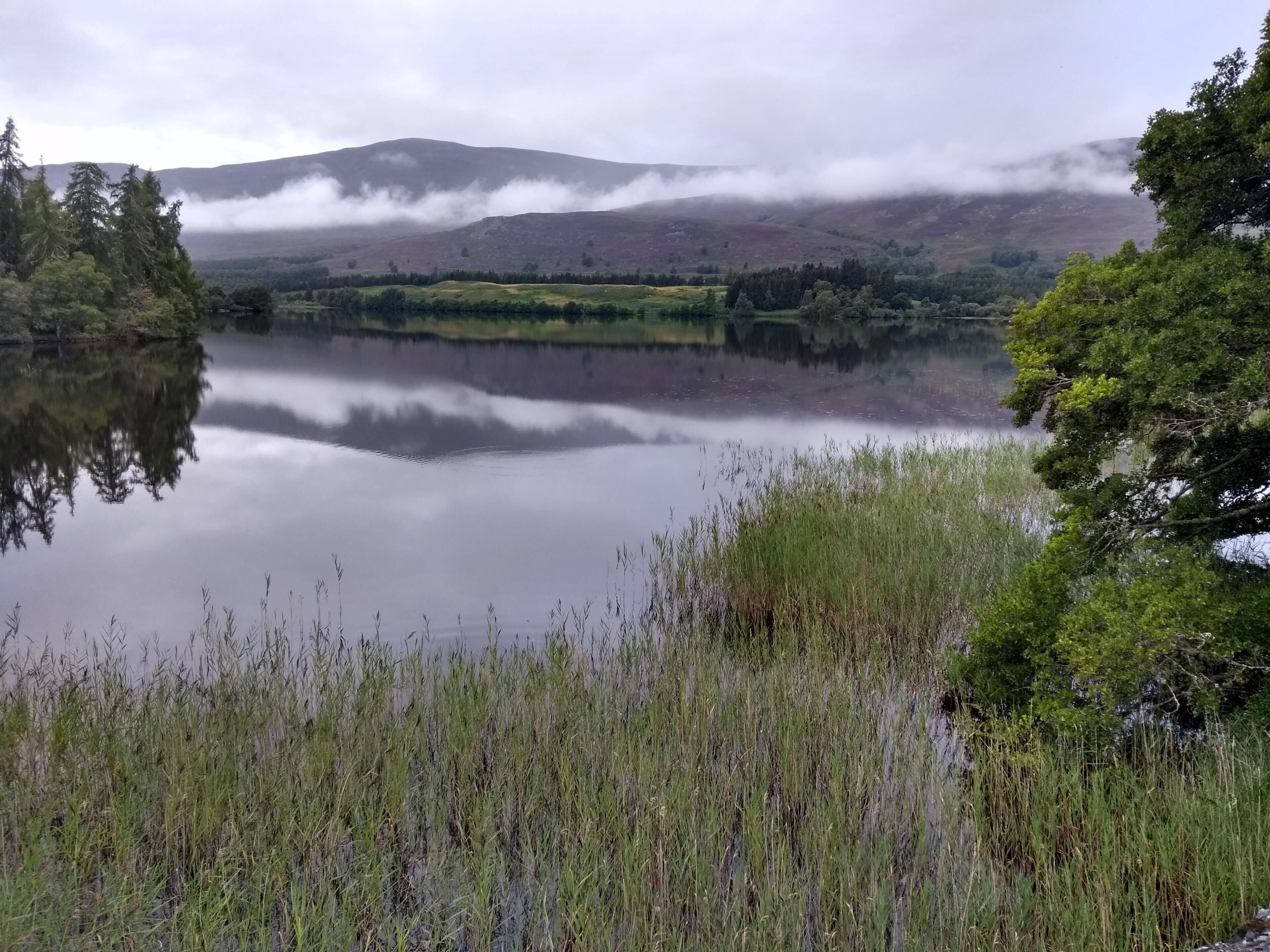 Un lac paisible, entouré de verdure et de collines.