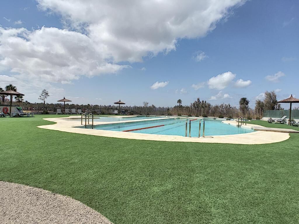 A rectangular swimming pool with a surrounding deck, surrounded by a wooden fence and palm trees.