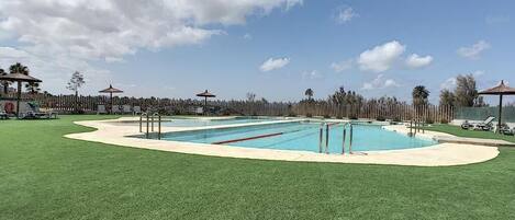 A rectangular swimming pool with a surrounding deck, surrounded by a wooden fence and palm trees.
