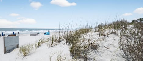 Vlak bij het strand, strandlakens