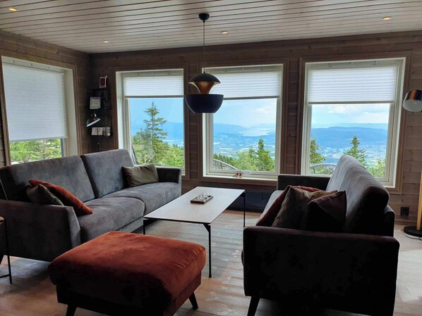 TV connectée, cheminée, livres