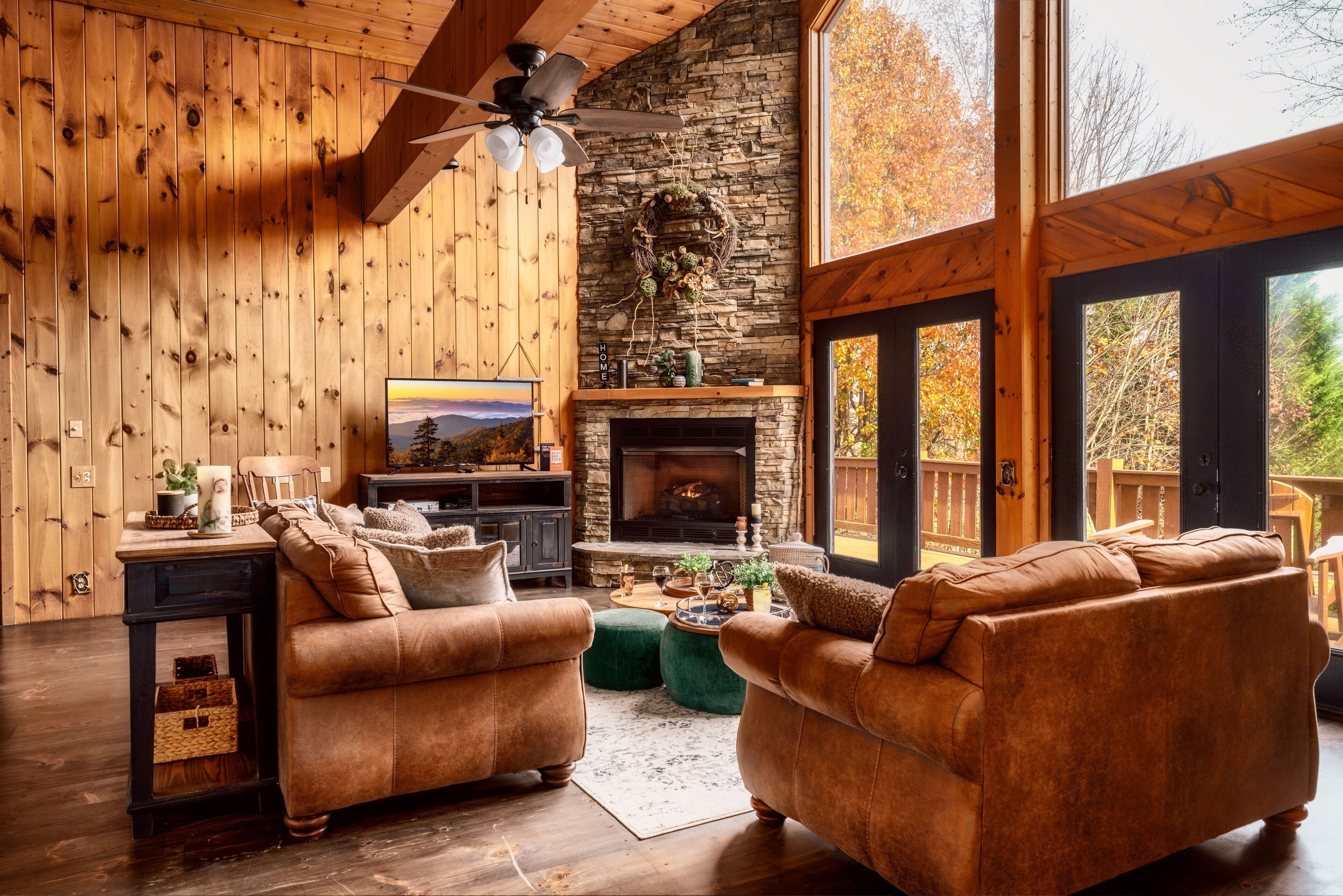 TV, fireplace, DVD player