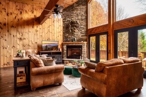 Télévision, cheminée, lecteur de DVD