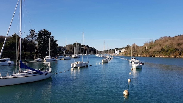 Ein Yachthafen mit mehreren Segelbooten, die in ruhigem Wasser vor Anker liegen, umgeben von Bäumen und wolkenlosem Himmel.
