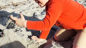 Un niño jugando en una playa arenosa, con un paisaje urbano al fondo.