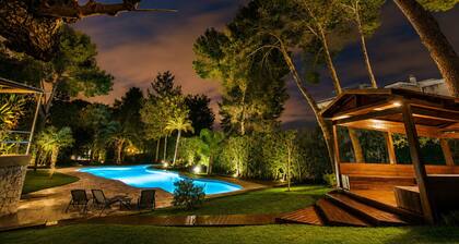 Private Pool Among Mediterranean Pines
