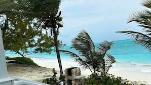 A beach view with a white railing, palm trees, and a stone structure. - Henry Louise & The Parrot (Moss Town)