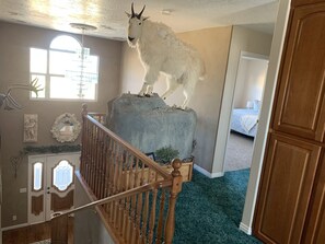 4 bedrooms, iron/ironing board, travel cot, free WiFi