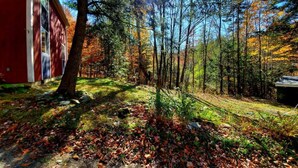 A forested area with a red building, likely a cabin or lodge, surrounded by trees and a clear sky. - Beautiful home located in the Mad River Valley (Warren)
