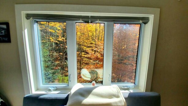 A room with a large window overlooking a forest in autumn. - Beautiful home located in the Mad River Valley (Warren)