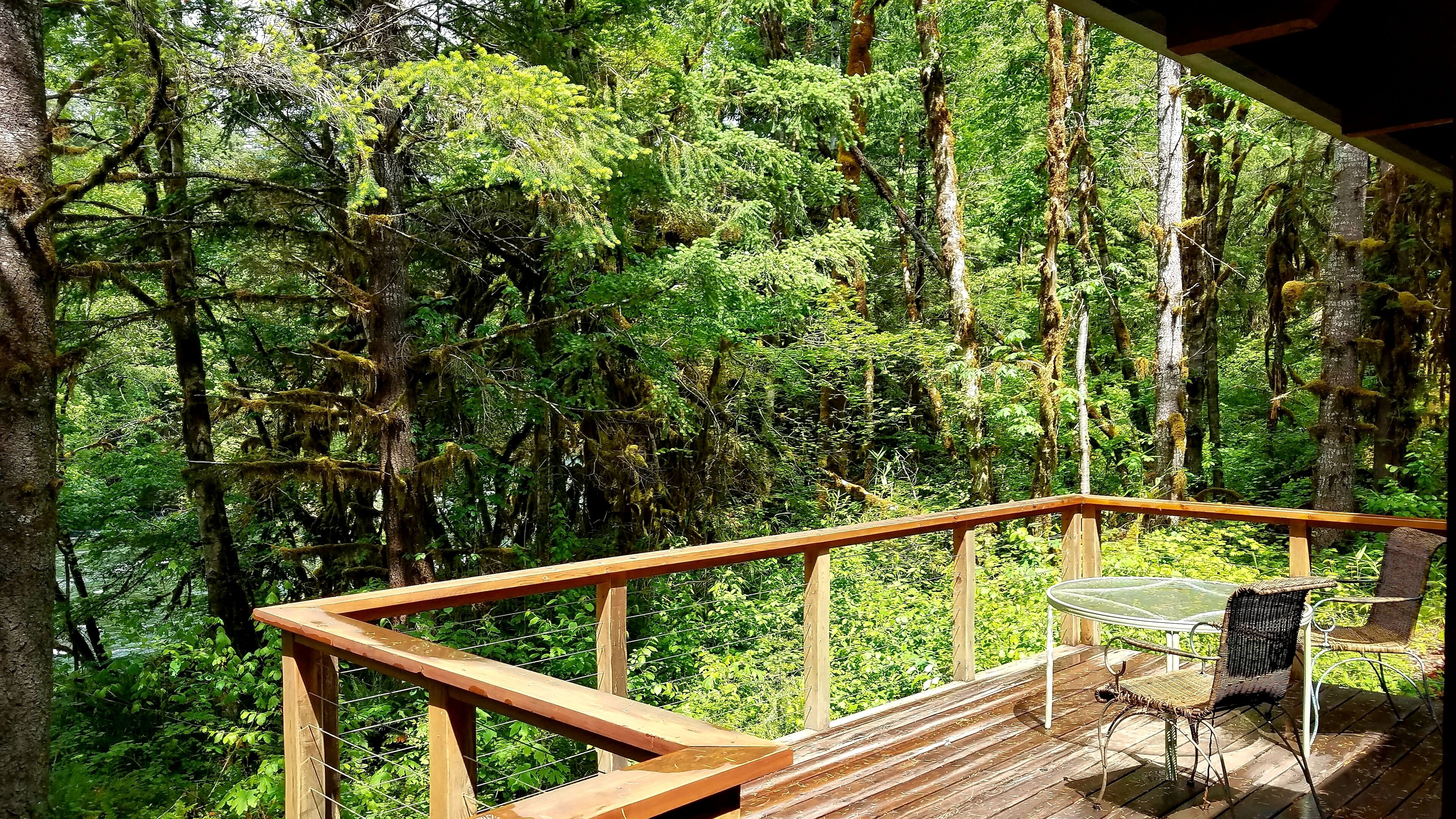 Opções para refeição ao ar livre