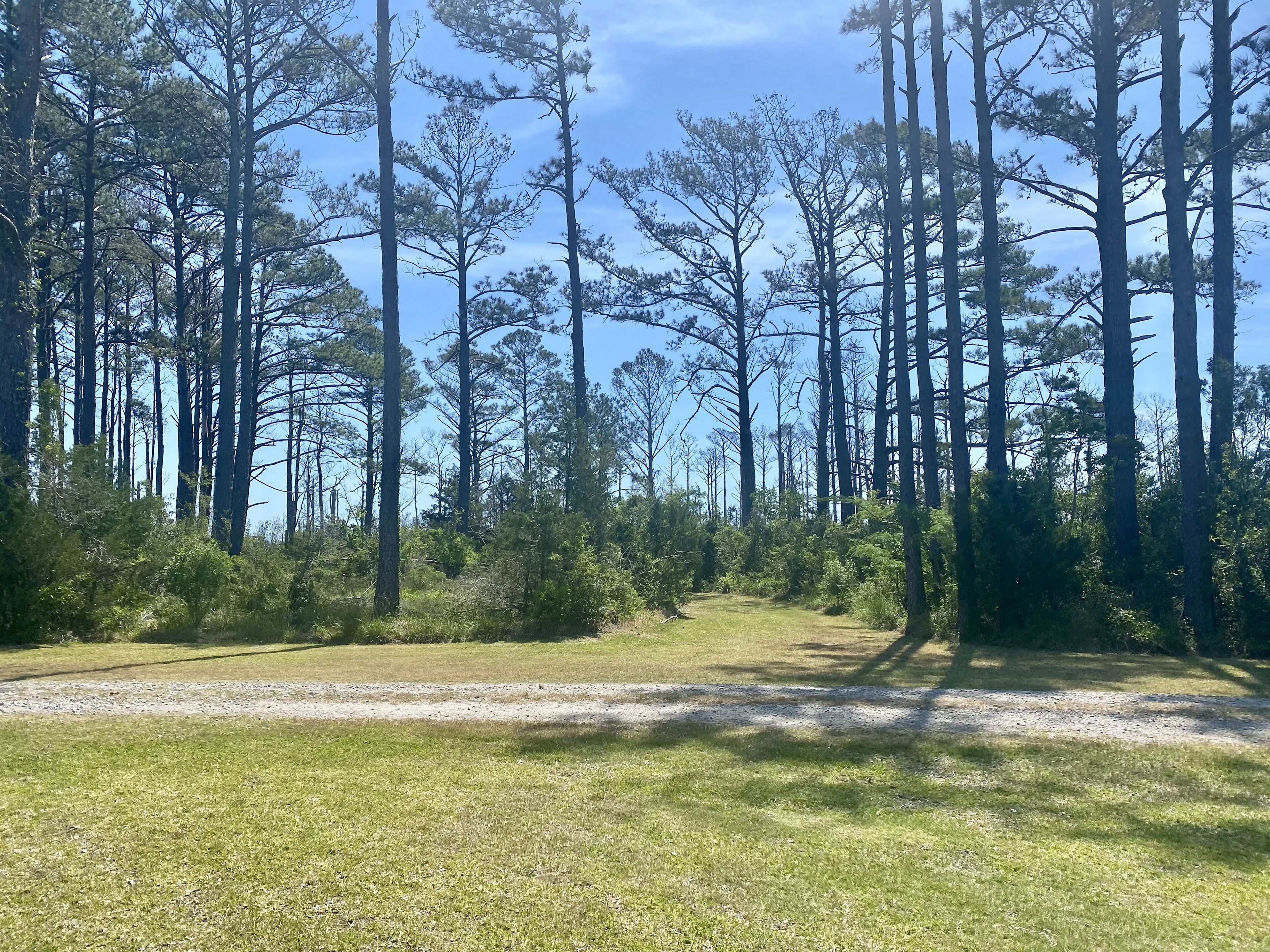 Exclusive RV Camping site On Core Sound