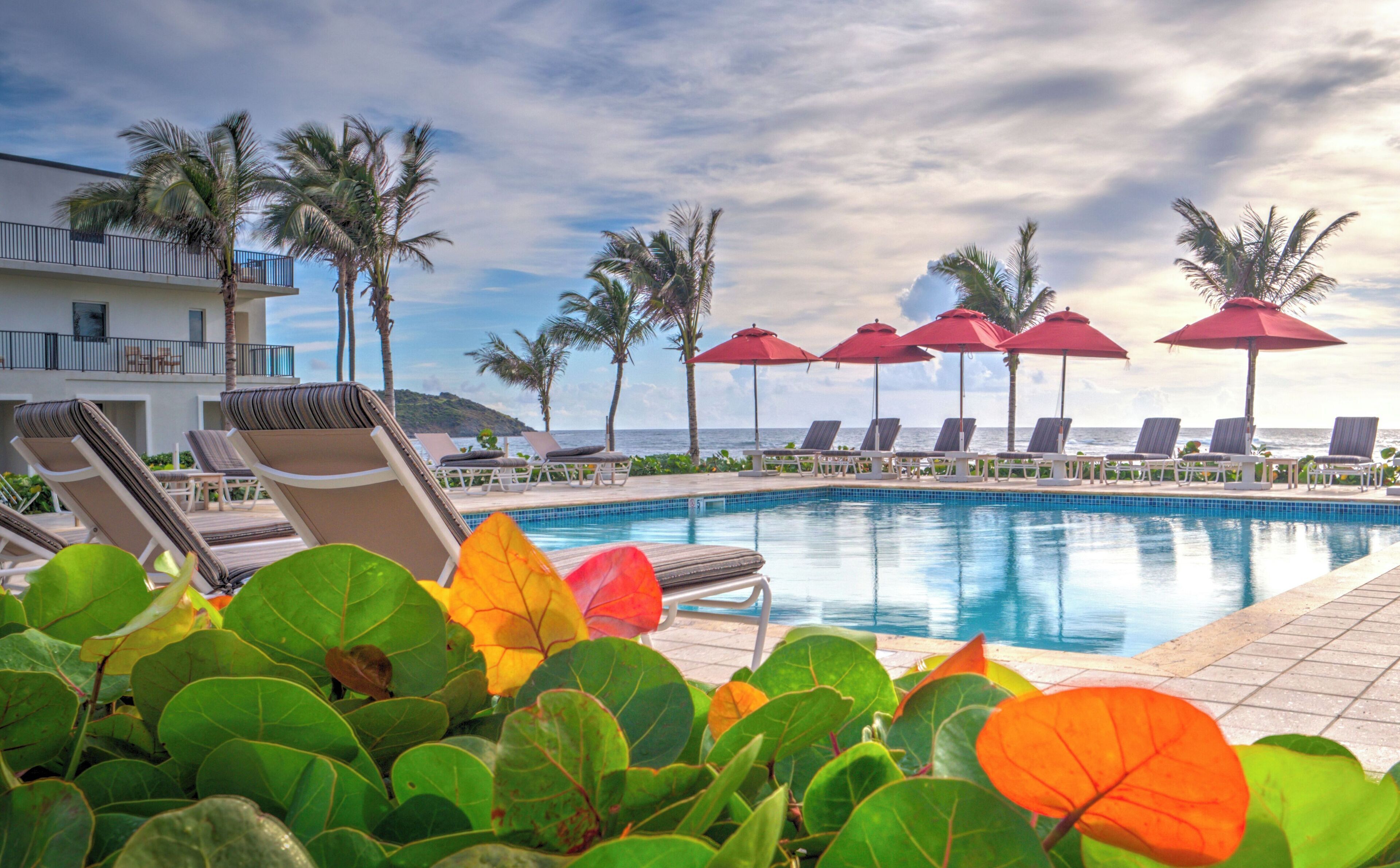 A poolside area with lounge chairs and umbrellas, palm trees, and a view of the ocean.